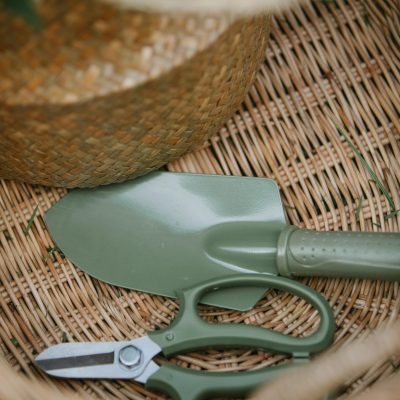 pexels-gary-barnes-6231819